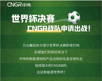 世界杯決賽 | CNGR戰(zhàn)隊申請出戰(zhàn)！