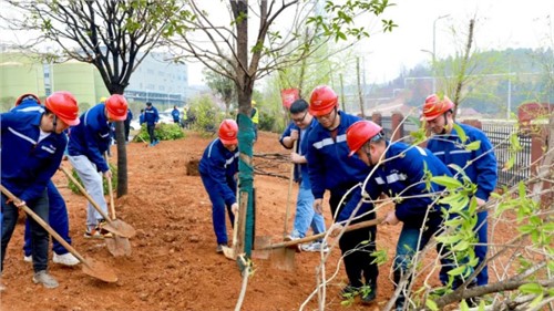 這個(gè)植樹(shù)節(jié)，共植一抹青綠，向著綠色未來(lái)出發(fā)！